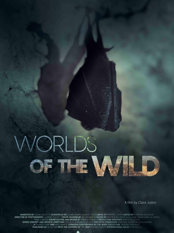 Poster MONDES SAUVAGES 1_CHAUVES-SOURIS_120x176 ang (BD)