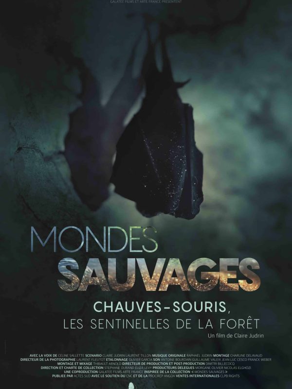 Poster MONDES SAUVAGES 1_CHAUVES-SOURIS_120x176 fr_PDF HD