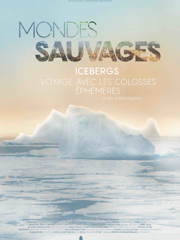 Poster MONDES SAUVAGES 3_ICEBERG_120x176 fr_PDF HD